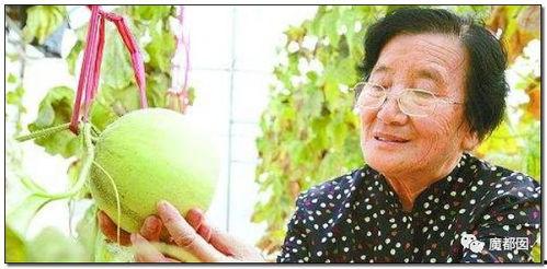 吃瓜群众出自红楼梦吗,红楼梦中的民间视角