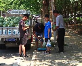 徐闻吃瓜群众,揭秘当地独特民俗风情