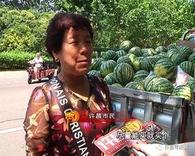 徐闻吃瓜群众,揭秘当地独特民俗风情