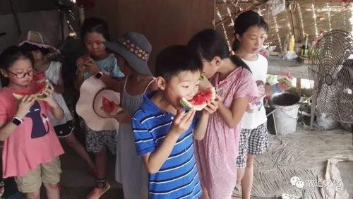 幼儿园吃瓜群众视频,童言童语笑翻众人