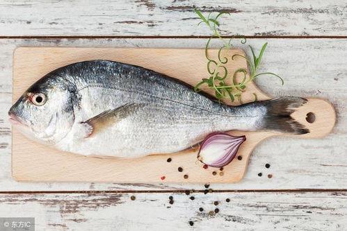 鱼崽不吃鱼吃瓜,不食鱼腥，偏爱瓜果的奇妙食趣