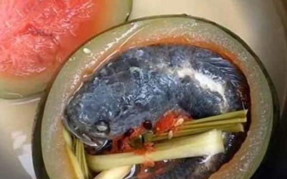 鱼崽不吃鱼吃瓜,不食鱼腥，偏爱瓜果的奇妙食趣