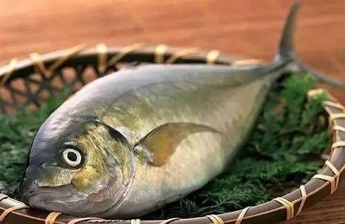 鱼崽不吃鱼吃瓜,不食鱼腥，偏爱瓜果的奇妙食趣