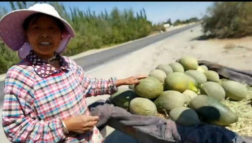 吃瓜安兮,揭秘娱乐圈背后的故事与真相