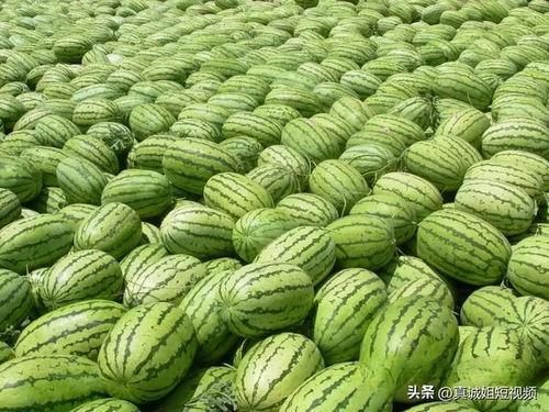 吃瓜榜单必看大瓜图片,必看大瓜图片背后的惊人真相