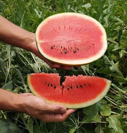 又是吃瓜的时间,揭秘娱乐圈最新热点