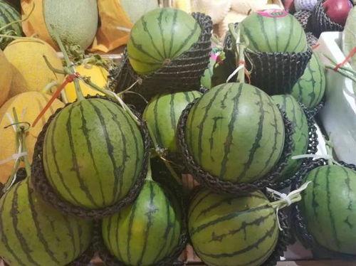 又是吃瓜的时间,揭秘娱乐圈最新热点