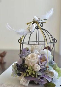 Bjd鸟笼吃瓜,揭秘虚拟世界中的吃瓜文化现象