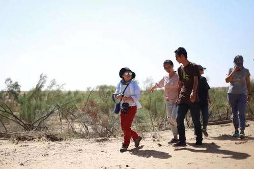 农村吃瓜博主,揭秘乡村生活趣味与智慧