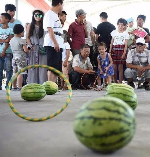 带你吃瓜野生王国,一场别开生面的生态之旅
