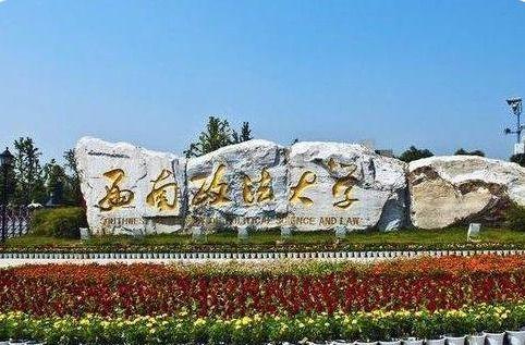 西南政法大学吃瓜群众,吃瓜群众视角下的校园风云录