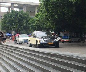 西南政法大学吃瓜群众,吃瓜群众视角下的校园风云录