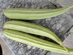 专业吃瓜小号,专业吃瓜小号带你领略幕后风云