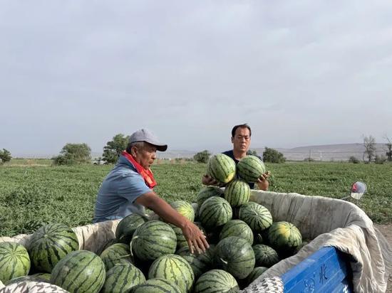 德化吃瓜,探寻美食背后的文化传承