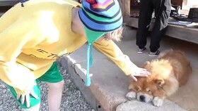 憨憨吃瓜特效,欢乐无限特效大放送！