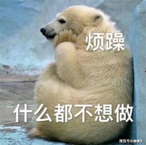 吃瓜群众丑图,网络热议不断