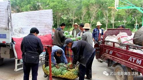 吃瓜群众大鹏图片大全高清,高清图片大全，笑料百出
