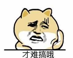 吃瓜表情包小肥柴,萌态可掬，笑点满满