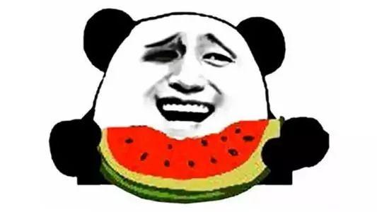 吃瓜群众宁夏,吃瓜群众眼中的瓜田盛宴