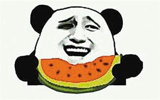 吃瓜群众瓜子图片搞笑,吃瓜群众瓜子图，笑料横生！