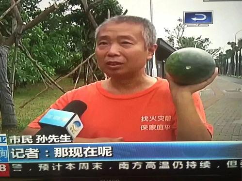 长阳吃瓜群众事件真相,真相与反思