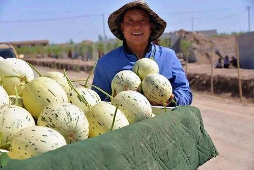 盐城吃瓜群众1号事件真相,真相背后的曲折历程