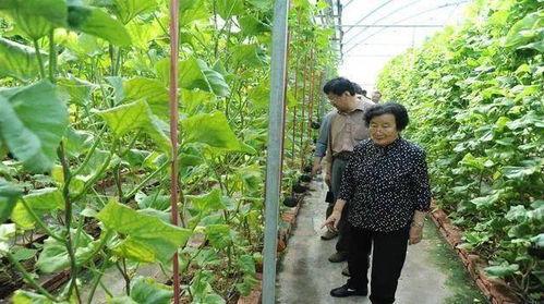 演员徐崴罗吃瓜群众是谁,揭秘“吃瓜群众”背后的神秘面纱