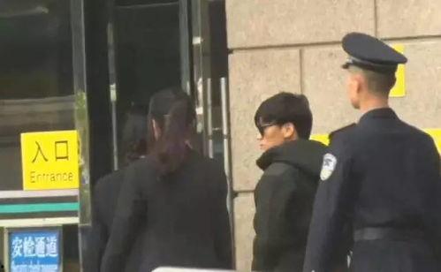 王宝强事件吃瓜群众反应,吃瓜群众热议，网络舆论场风云再起