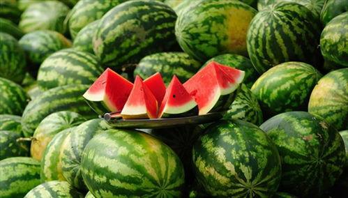 吃瓜骑行服,吃瓜骑行服，时尚与舒适的完美融合