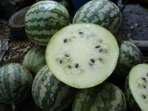 日本玲珑瓜怎么吃,日本玲珑瓜的多彩食法探索