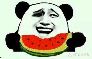 吃瓜群众戴墨镜图片高清,吃瓜群众视角下的高清瞬间