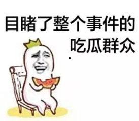 吃瓜群众精彩视频,揭秘娱乐圈幕后故事