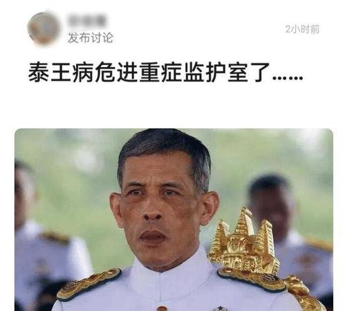 宫斗吃瓜群众是谁,幕后真相大揭秘