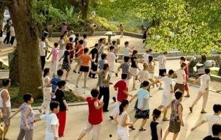 吃瓜群众广场舞视频教学,广场舞视频助力校园健身风潮