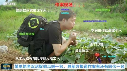 男子假装吃瓜群众,揭秘娱乐圈幕后真相