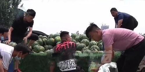 南和县吃瓜群众事件视频,一场网络舆论的风暴与反思