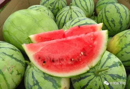 吃瓜群众水果铺团购,团购优惠！吃瓜群众水果铺带你畅享夏日鲜果盛宴