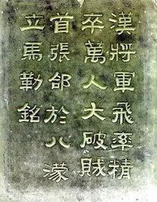 陶庙吃瓜群众事迹材料,见证时代变迁的民间英雄