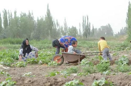 吃瓜群众常在河边走,见证时代变迁的“河边行者”
