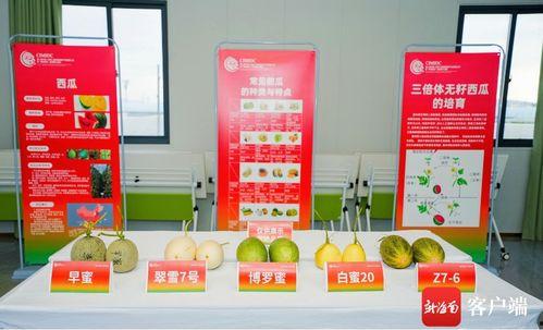 吃瓜群众的鞋店,潮流鞋履的时尚聚集地