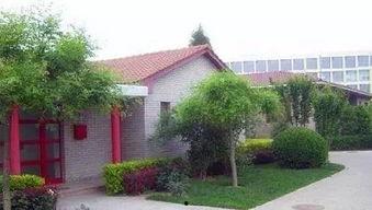 四合院里的吃瓜群众,揭秘邻里间的八卦风云