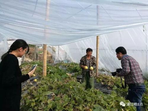 吃瓜群众湖南永州,吃瓜群众眼中的魅力之城