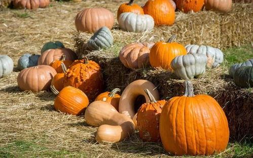 吃瓜群众接力是哪一集,揭秘热门剧集背后的神秘力量