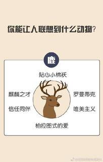 吃瓜群众无所畏惧,揭秘网络舆论场的勇敢身影