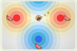 吃瓜蚂蚁的作品,揭秘娱乐圈背后的秘密与真相