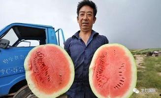 浏览算吃瓜吗,网络时代下的信息消费现象