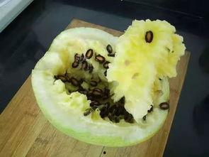 脾胃不好可以吃籽瓜,脾胃不好者的养生选择