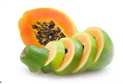 猫儿吃瓜公众号,揭秘宠物界的趣味生活