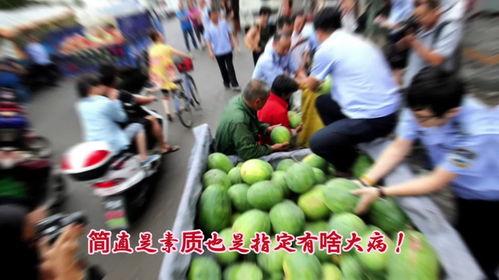 自作吃瓜机,自作吃瓜机带你领略明星幕后故事