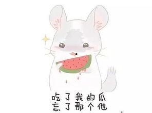 q群吃瓜,揭秘q群吃瓜背后的网络社交现象